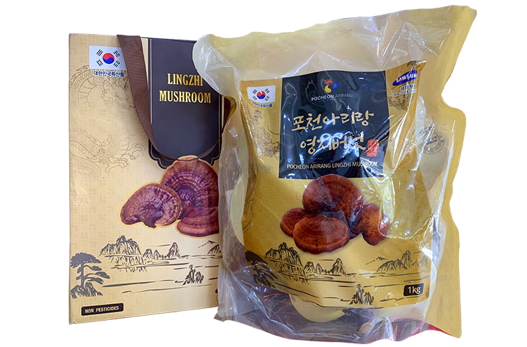 Nấm linh chi Hàn Quốc Pocheon 1kg
